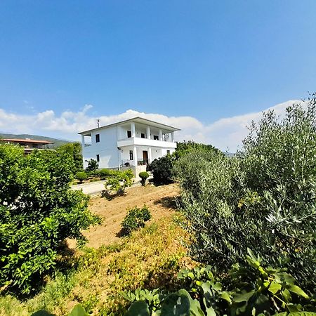 Villa Besart Берат Экстерьер фото