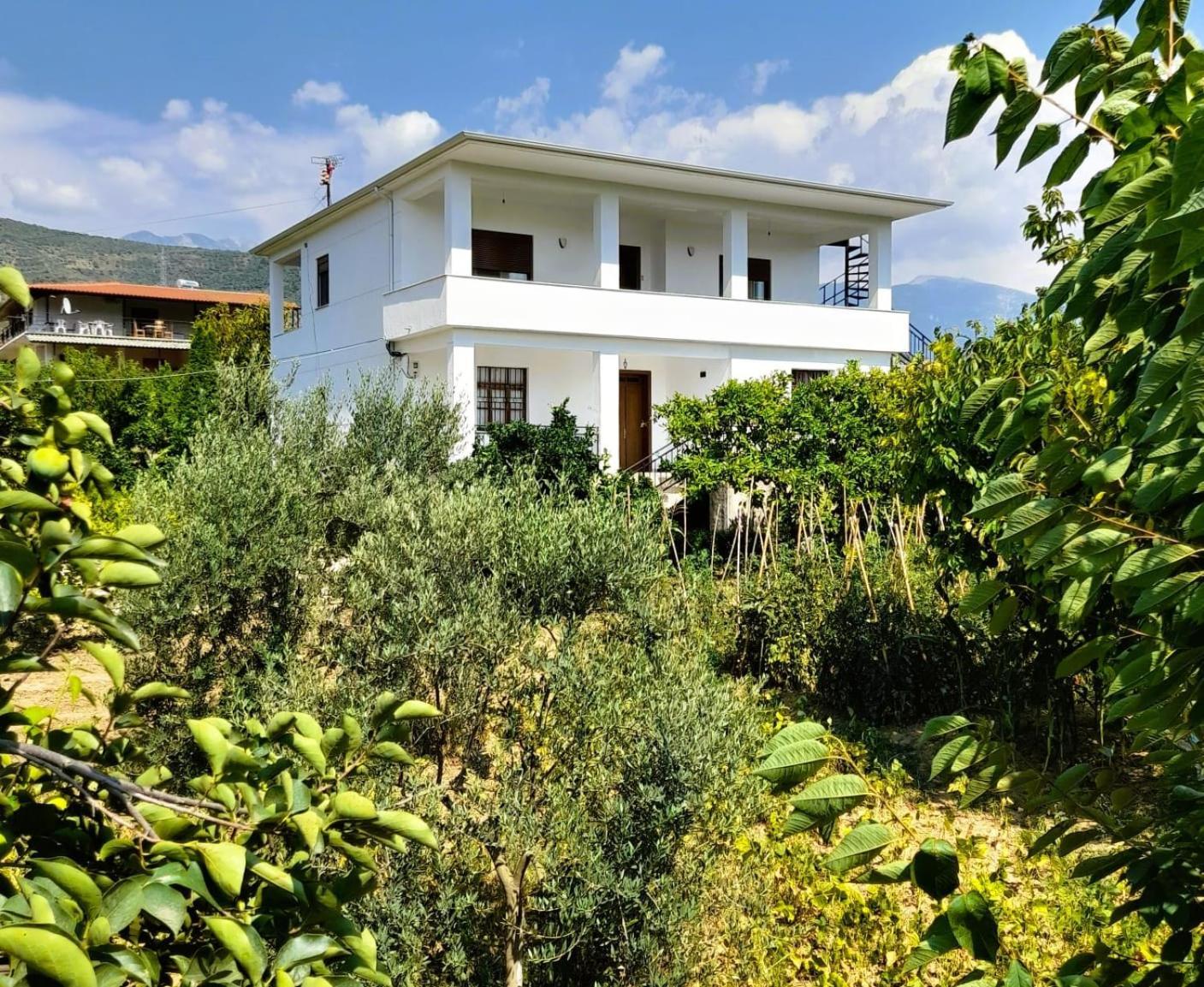Villa Besart Берат Экстерьер фото